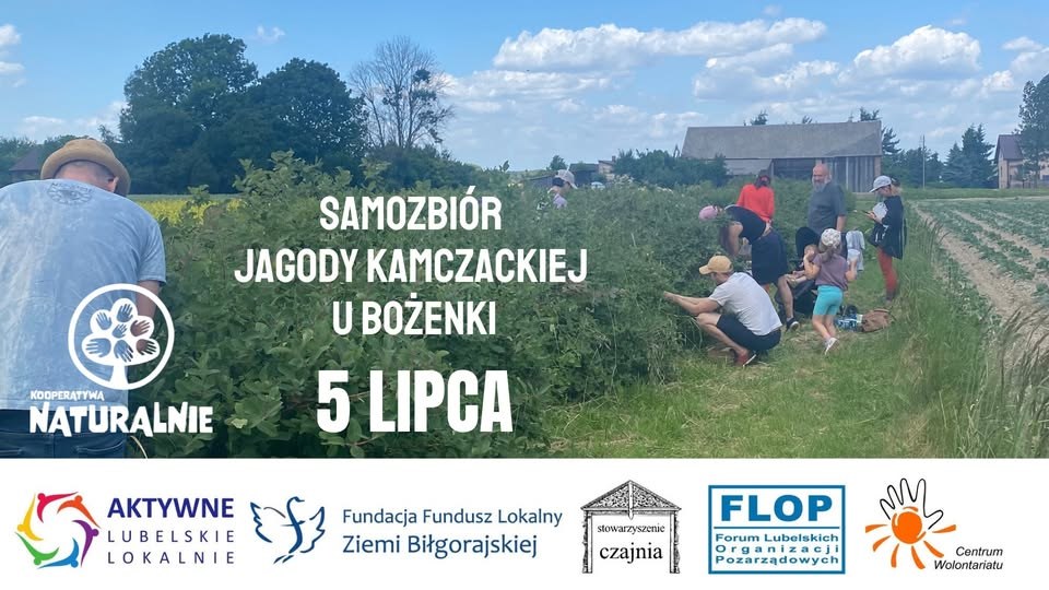 Aktualności Zaproszenie na samozbiór jagody kamczackiej z kooperatywą u Bożenki w Brzostówce